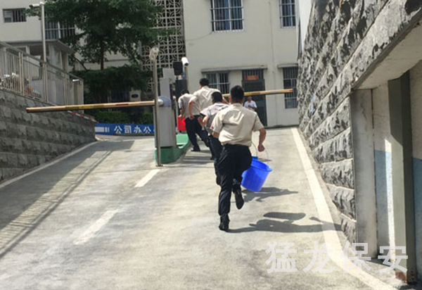 保安應急模擬培訓 保安應急模擬培訓