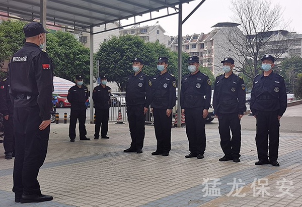 黄瓜视频网站下载